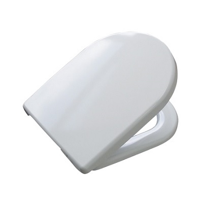 62-R-DSREVEC2 VERSA WC DASKA-INOX VIJCI-C2
