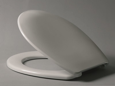 OCEAN WC DASKA INOX VIJCI (522360)